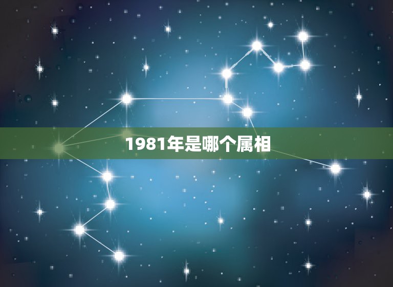 1981年是哪个属相，请问1981年出生的人属相是什么？  第1张