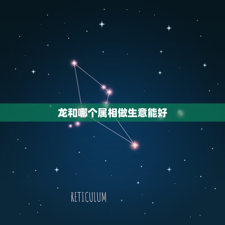 龙和哪个属相做生意能好，属猪和属龙的在一起做生意合财吗  第1张