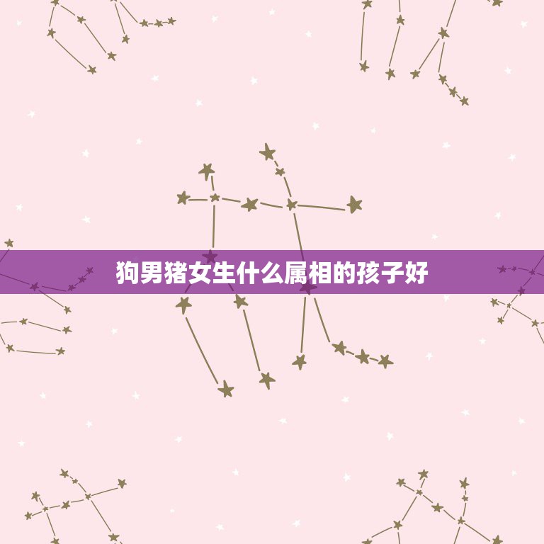 狗男猪女生什么属相的孩子好，生什么属相的孩子最好？  第1张