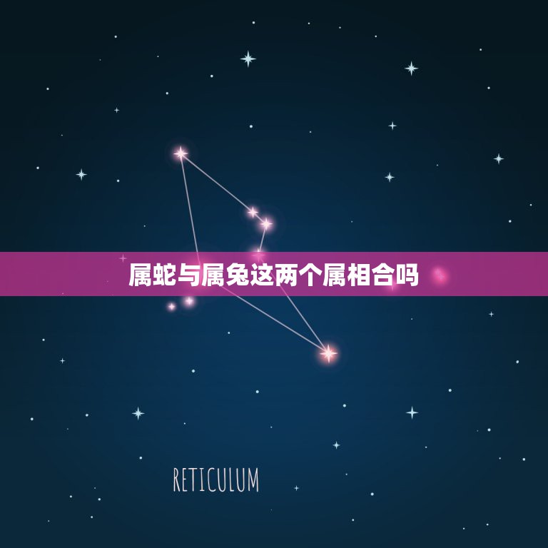 属蛇与属兔这两个属相合吗，属兔的男生和属蛇的女生婚姻配吗  第1张