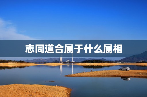 志同道合属于什么属相，志同道合指十二生肖中的哪个  第1张