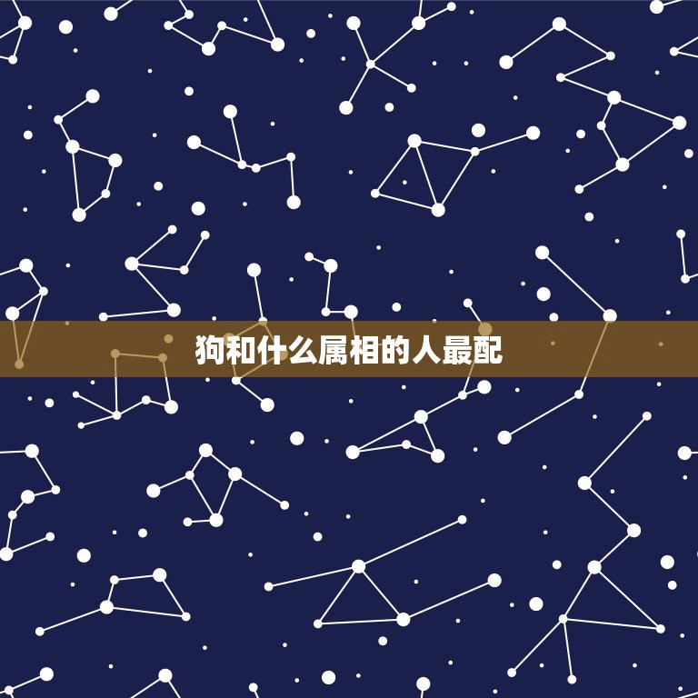 狗和什么属相的人最配，属狗的和什么属相最配  第1张