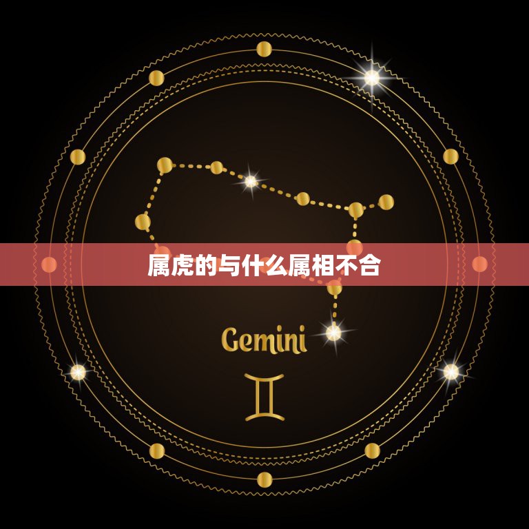 属虎的与什么属相不合，虎属相的和什么属相的和，什么属相的不和？  第1张
