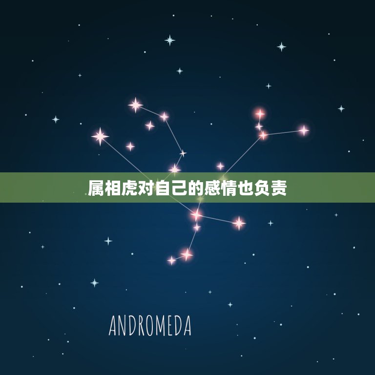 属相虎对自己的感情也负责，事业心强属相是虎的男人会因为工作而忽略另一半  第1张