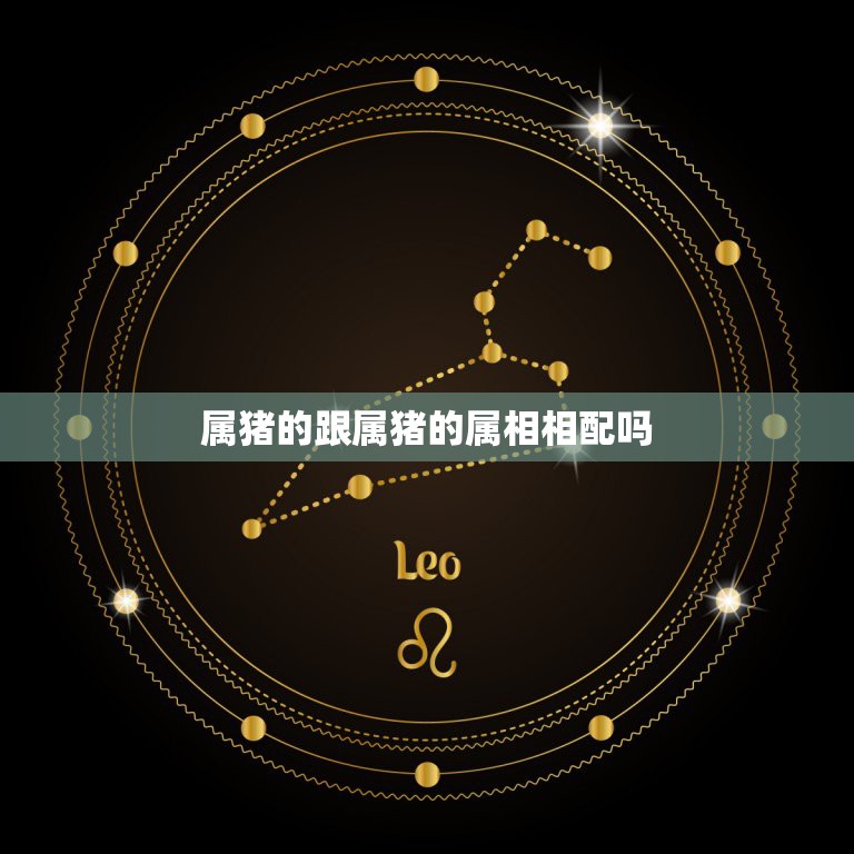 属猪的跟属猪的属相相配吗，属猪的能与属猪的相配吗？  第1张