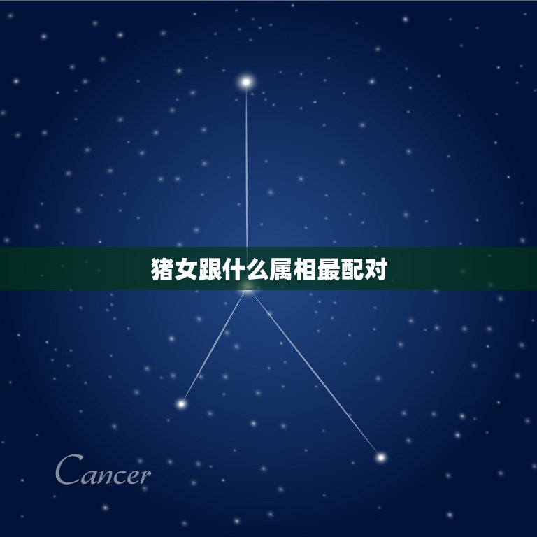 猪女跟什么属相最配对，女属猪的属相和什么属相最配  第1张