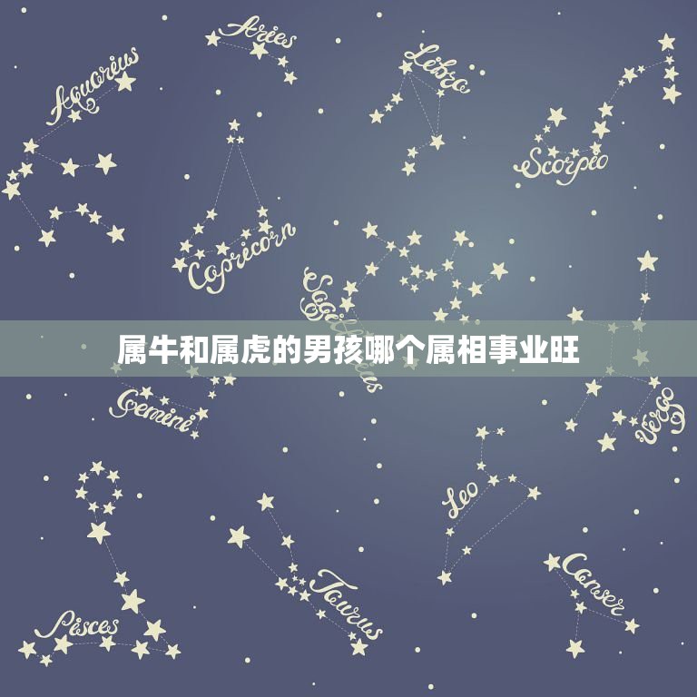 属牛和属虎的男孩哪个属相事业旺，属牛和属虎的属相和吗  第1张