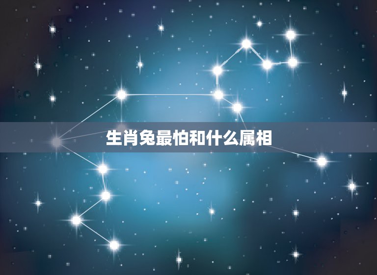 生肖兔最怕和什么属相，属兔的和什么属相最配  第1张