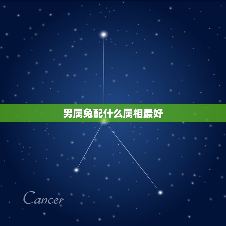 男属兔配什么属相最好，属兔的男人和什么属相最配  第1张