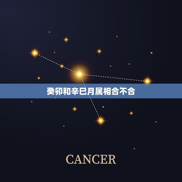 癸卯和辛巳月属相合不合，属相合但五行又不合  第1张