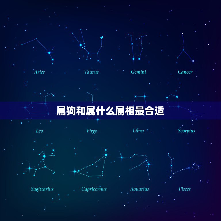 属狗和属什么属相最合适，属狗的和什么属相最配  第1张