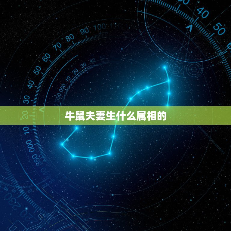 牛鼠夫妻生什么属相的，男属牛女属鼠生什么属相好  第1张