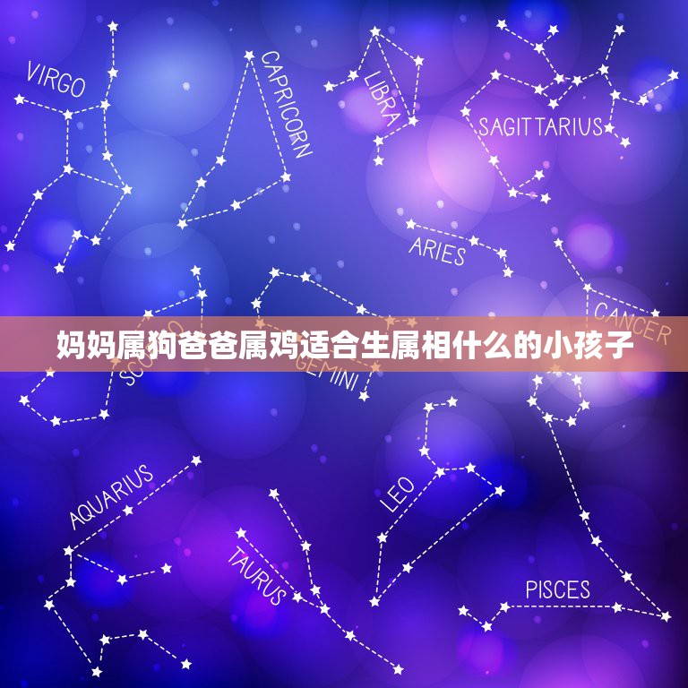 妈妈属狗爸爸属鸡适合生属相什么的小孩子，属鸡和属狗适合生什么属相的孩子  第1张