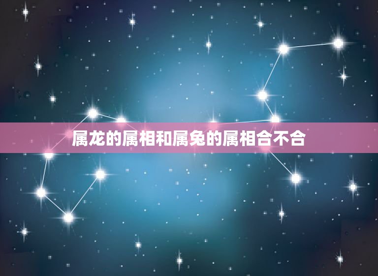 属龙的属相和属兔的属相合不合，属龙的和属兔的真的属相不合吗？女龙男兔  第1张