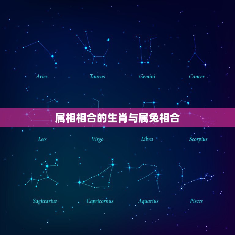 属相相合的生肖与属兔相合，属兔与什么属相相合  第1张