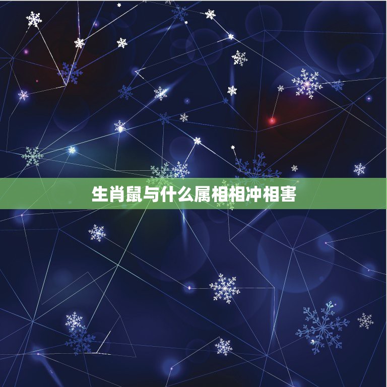生肖鼠与什么属相相冲相害，属鼠的和什么属相相克  第1张