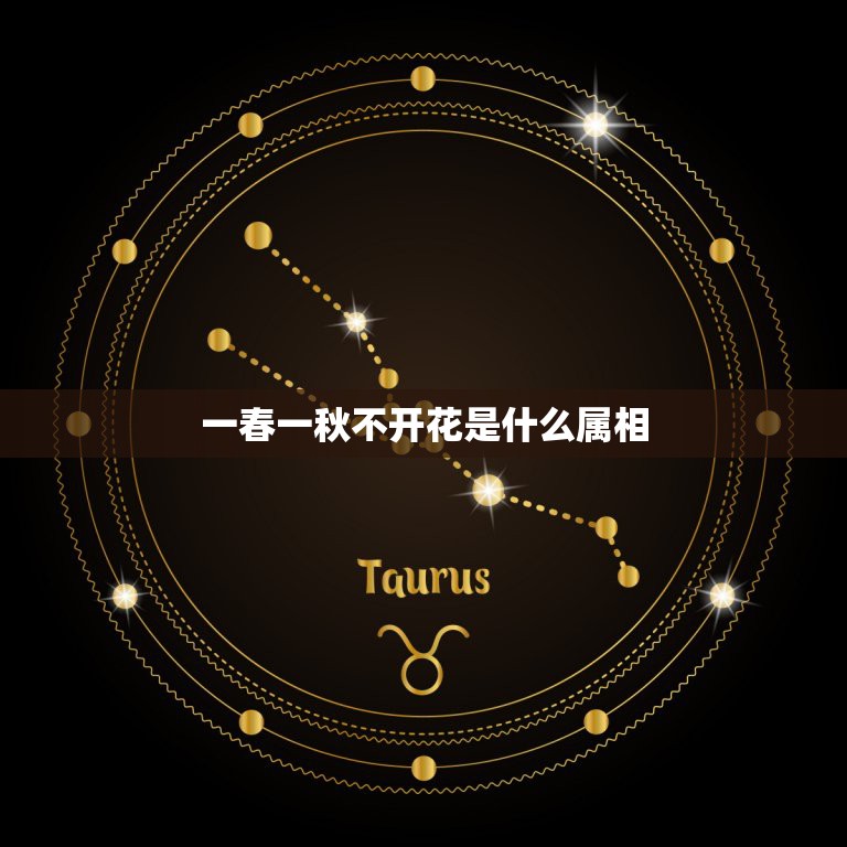 一春一秋不开花是什么属相，一春一秋不开花什么生肖  第1张