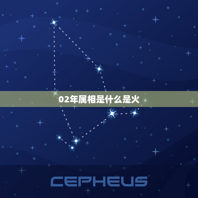 02年属相是什么是火，2002年金木水火土是什么命  第1张