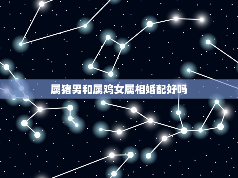 属猪男和属鸡女属相婚配好吗，属相婚配：男属猪和女属羊相配吗  第1张