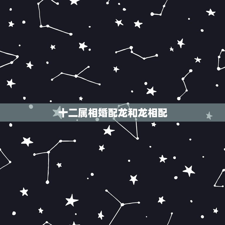 十二属相婚配龙和龙相配，龙狗两生肖相配吗  第1张