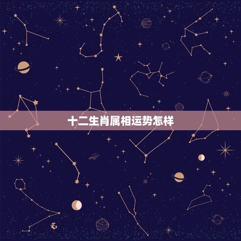 十二生肖属相运势怎样，网上的生肖运势是骗人的吗  第1张