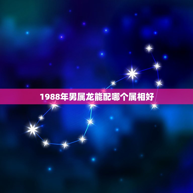 1988年男属龙能配哪个属相好，1988年4月男属龙宜配哪个属相？  第1张