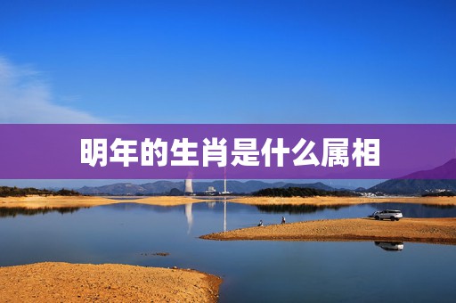 明年的生肖是什么属相，求解答，明年属相是什么，后年属相是什么。  第1张