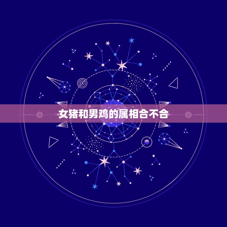 女猪和男鸡的属相合不合，属相男鸡和女猪配吗  第1张
