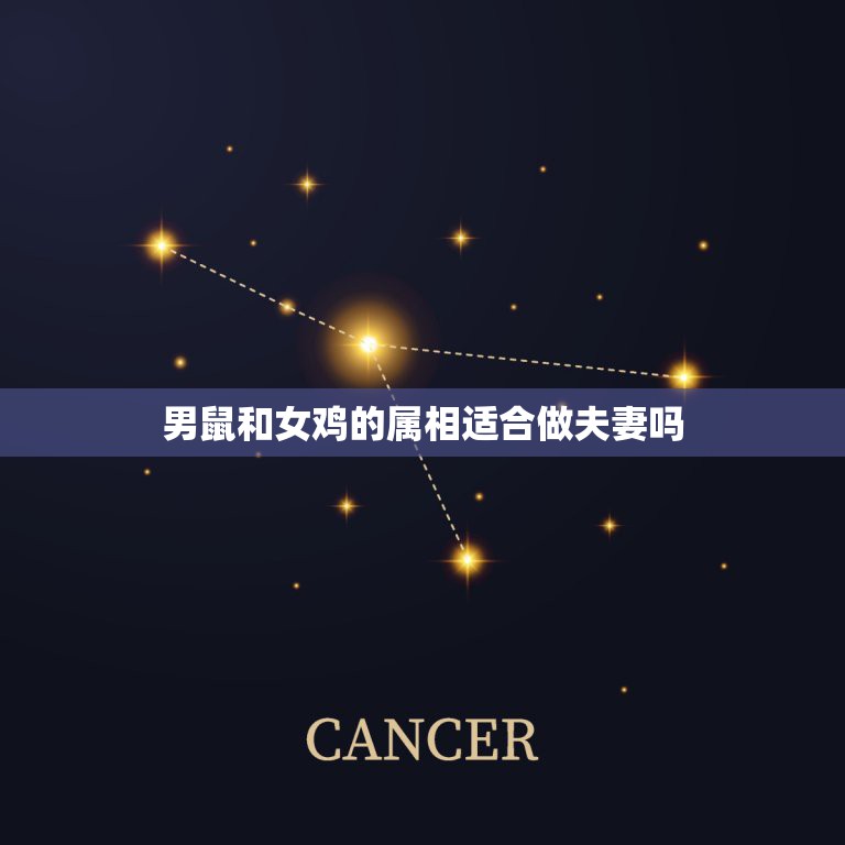 男鼠和女鸡的属相适合做夫妻吗，属鸡和属鼠做夫妻合适吗？谢谢！  第1张