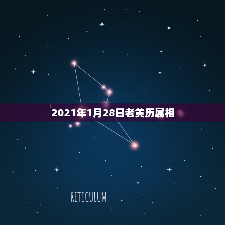 2021年1月28日老黄历属相，2021年28岁属什么生肖  第1张