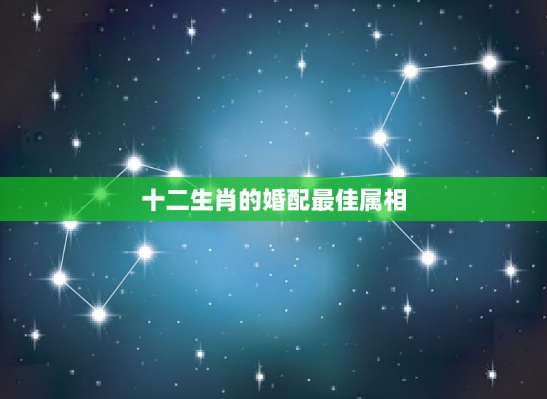 十二生肖的婚配最佳属相，婚配生肖怎么配  第1张