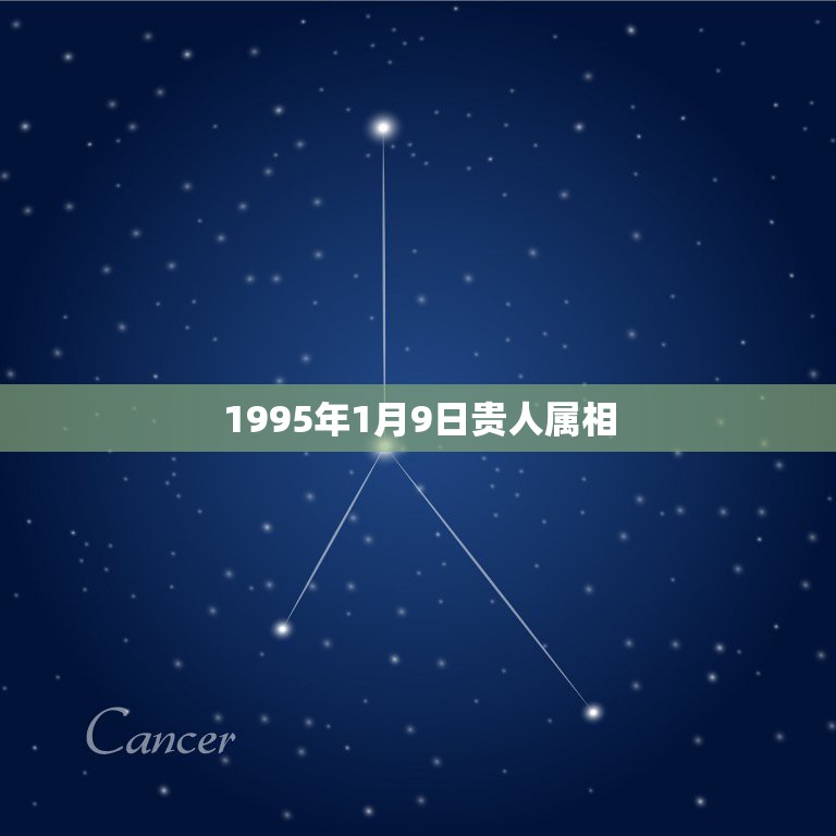 1995年1月9日贵人属相，我是农历1971年1月1日出生的属狗，想知  第1张