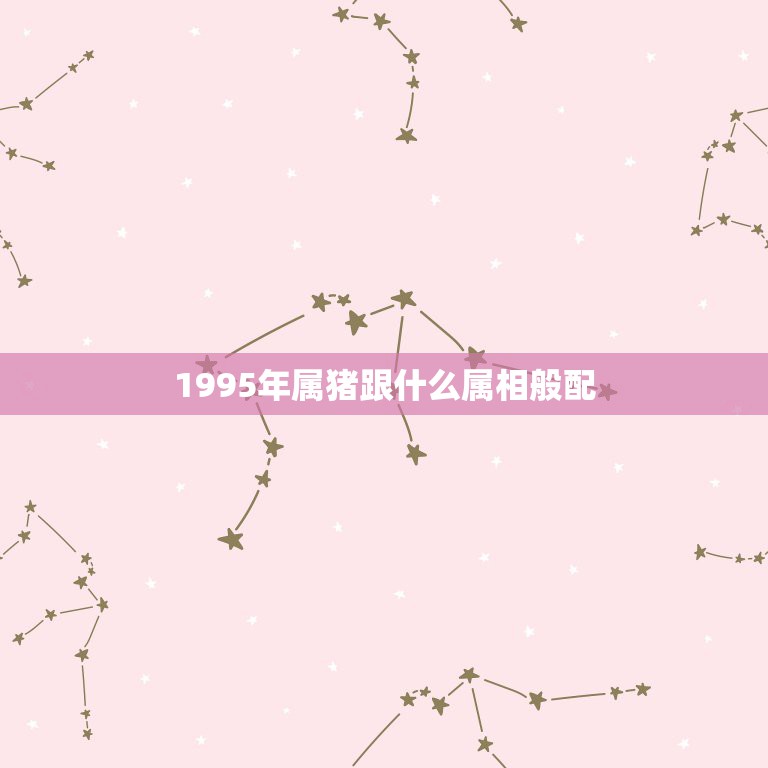 1995年属猪跟什么属相般配，属猪和什么属相相冲  第1张