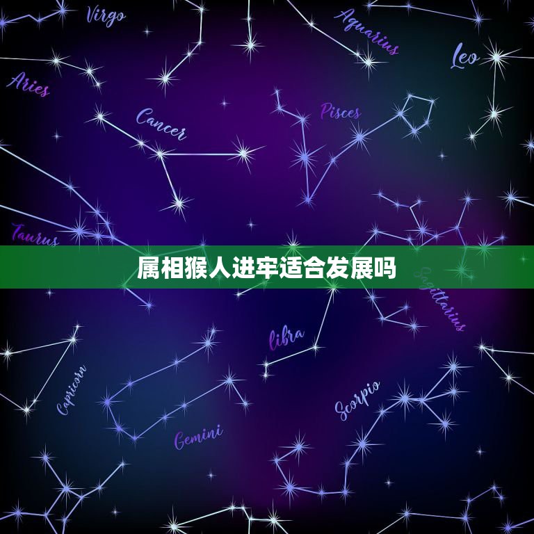 属相猴人进牢适合发展吗，男猴配什么属相最好  第1张