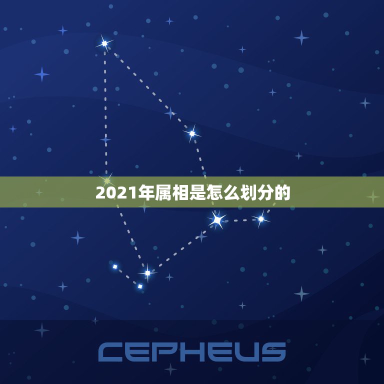 2021年属相是怎么划分的，2021是什么年什么属性  第1张
