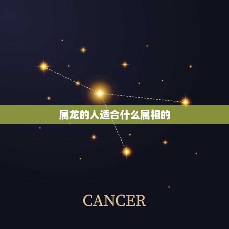 属龙的人适合什么属相的，属龙的人和什么属相最配  第1张