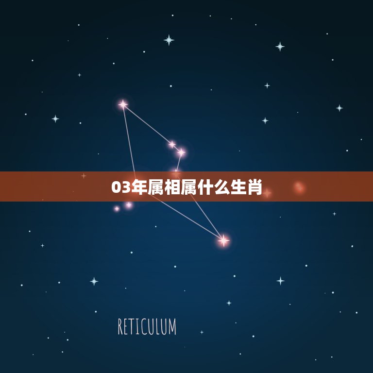 03年属相属什么生肖，2003年生属什么生肖  第1张