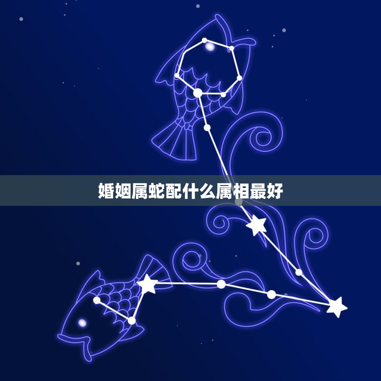 婚姻属蛇配什么属相最好，属蛇的和什么属相最配  第1张
