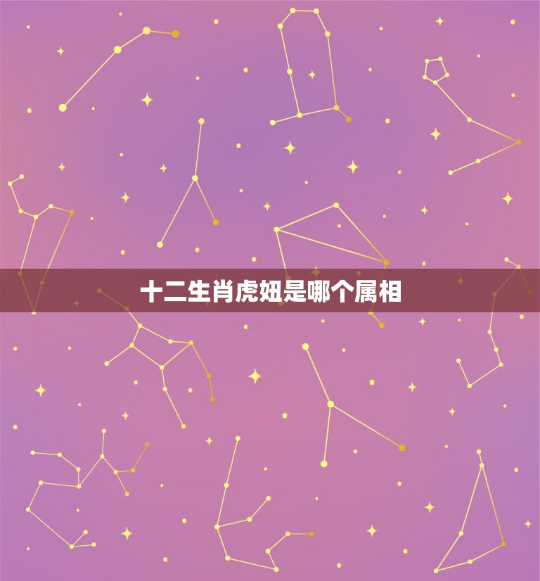 十二生肖虎妞是哪个属相，12生肖是什么  第1张