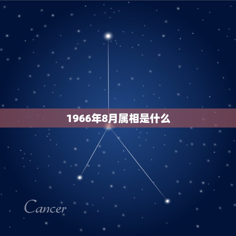 1966年8月属相是什么，1966年属马的人八月份出生是什么星座  第1张