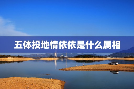 五体投地情依依是什么属相，五体投地双面开。指什么生肖  第1张