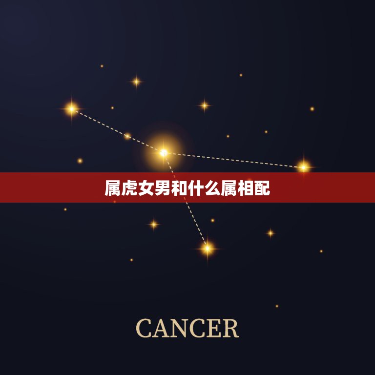 属虎女男和什么属相配，属虎的男的和什么属相的女的最适合  第1张