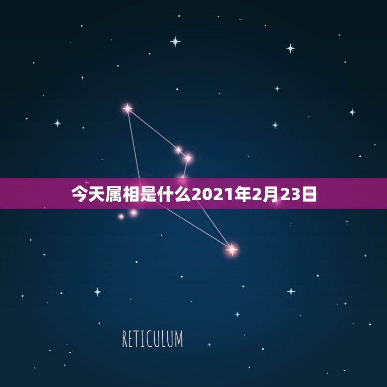 今天属相是什么2021年2月23日，2021年的今天是什么生肖日？  第1张