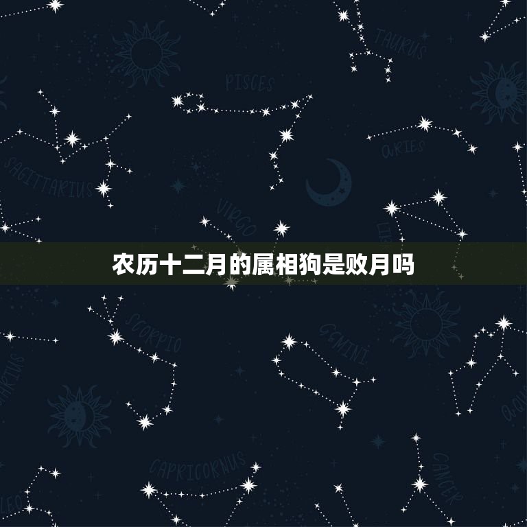 农历十二月的属相狗是败月吗，属狗几月是犯月  第1张