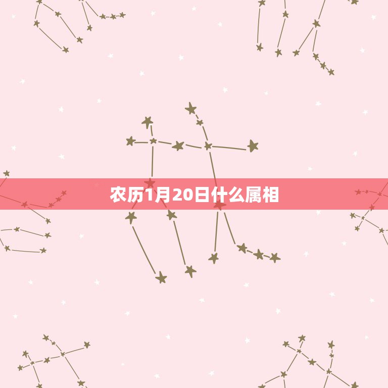 农历1月20日什么属相，1982年1月20日属狗和什么属相最配？  第1张