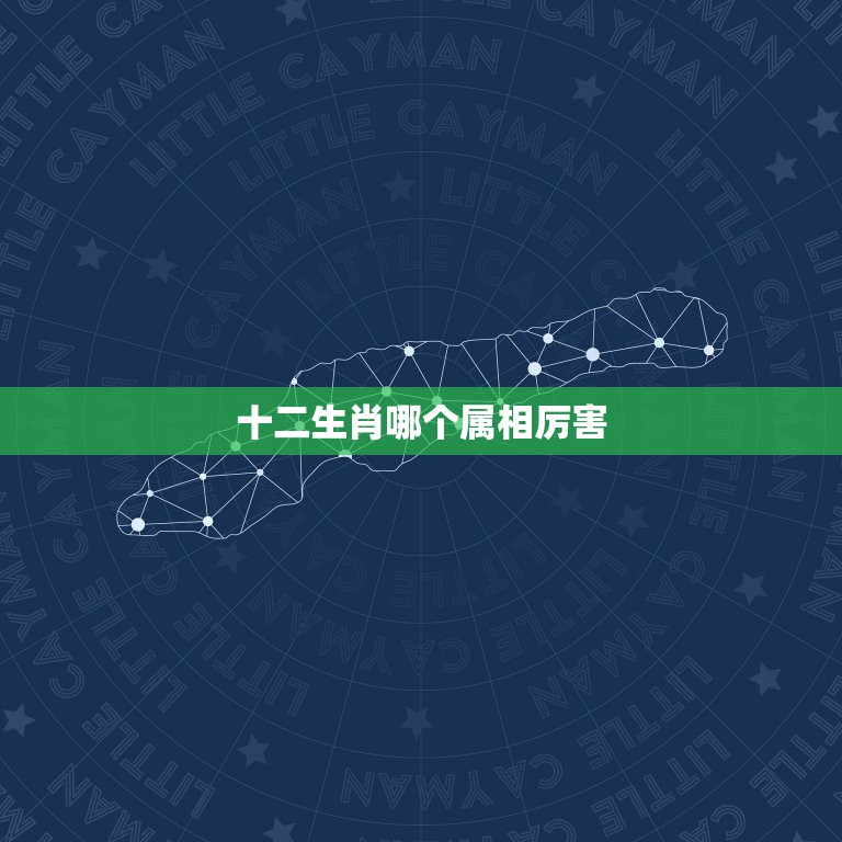 十二生肖哪个属相厉害，12生肖哪个属相最好？  第1张