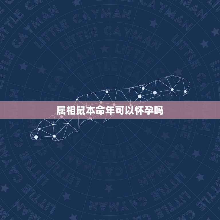 属相鼠本命年可以怀孕吗，属鼠的人，本命年有什么忌讳么？  第1张