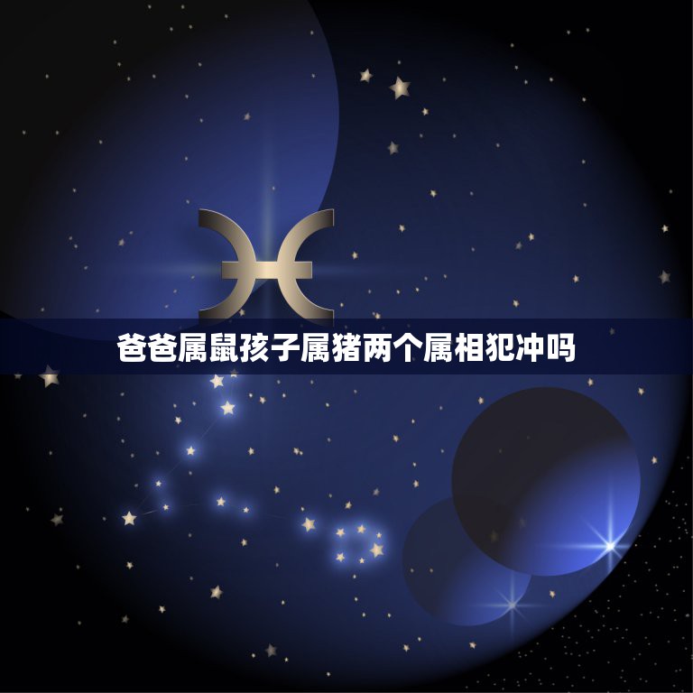 爸爸属鼠孩子属猪两个属相犯冲吗，属鼠和属猪的人相克吗  第1张
