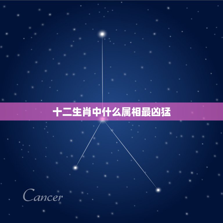 十二生肖中什么属相最凶猛，十二生肖哪个最凶  第1张