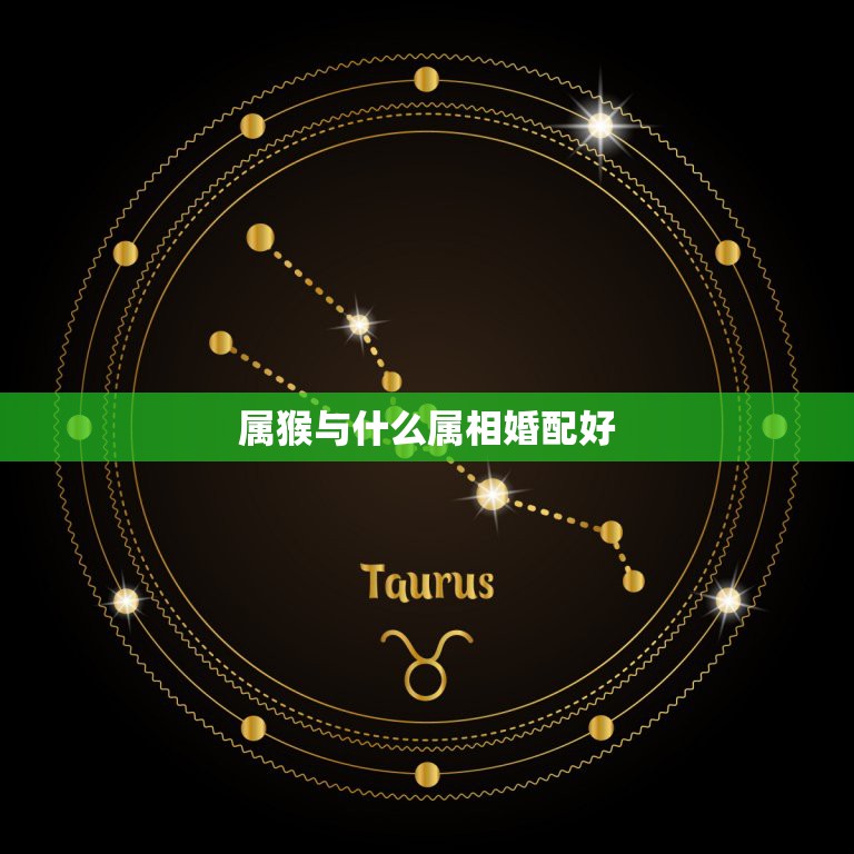 属猴与什么属相婚配好，属猴的人和什么属相的人比较相配  第1张